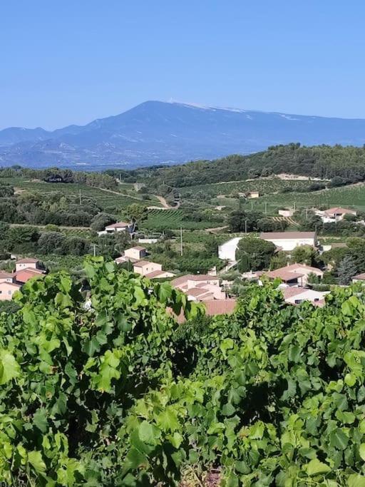 Maison De Village Châteauneuf-du-Pape Eksteriør billede